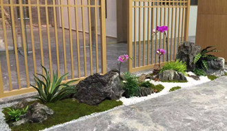 �����̻�ֲ������